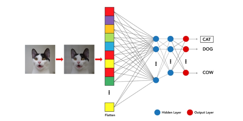 image-recognition-technology